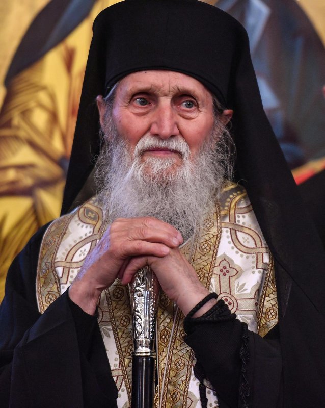 Vlădica din pagini de Pateric 145115