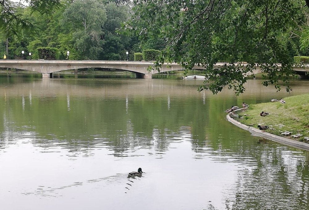 „Toate își au vremea lor...” 145561