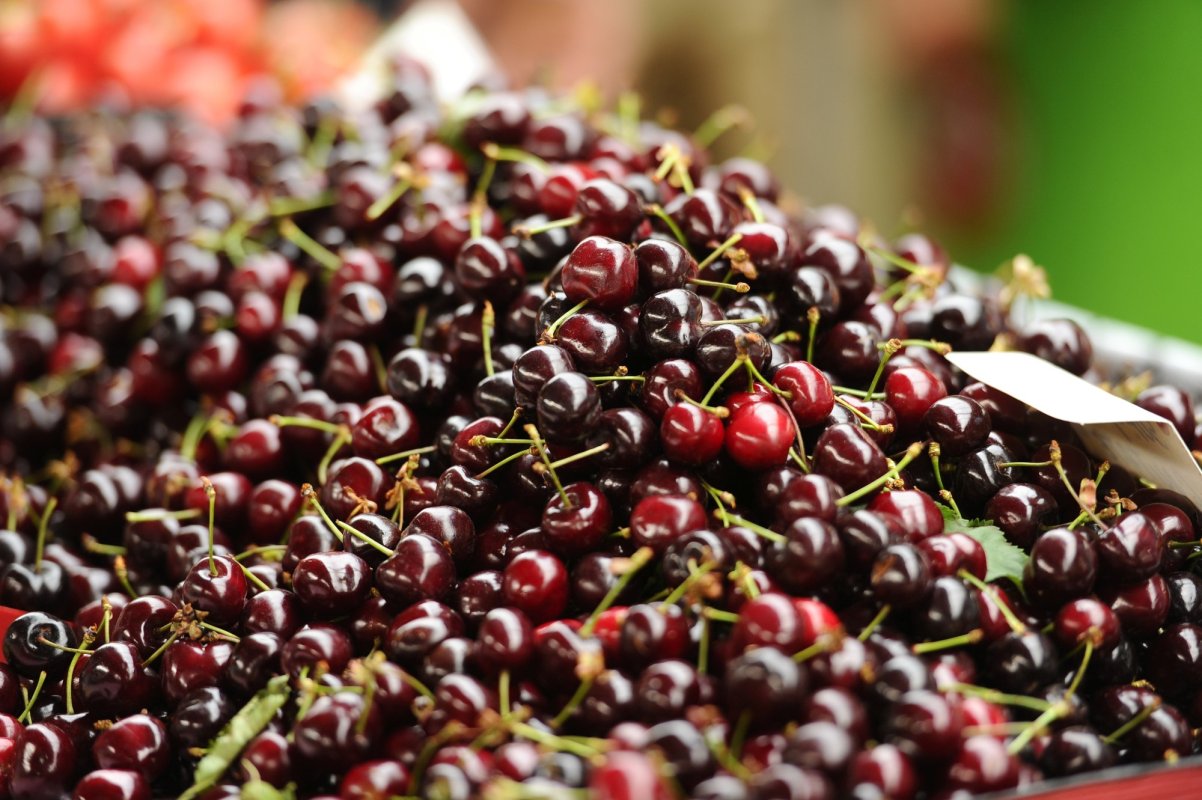 Producţie scăzută de cireșe 145627