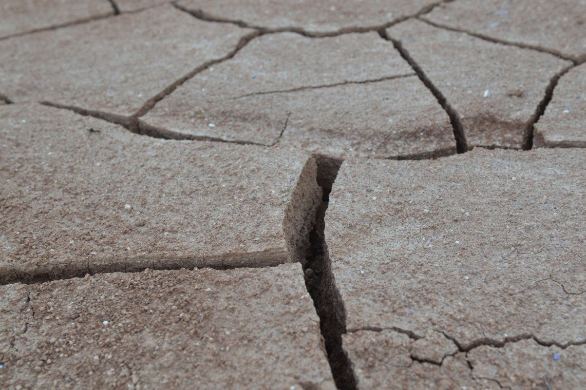 Fermierii afectați de secetă primesc sume forfetare 145782