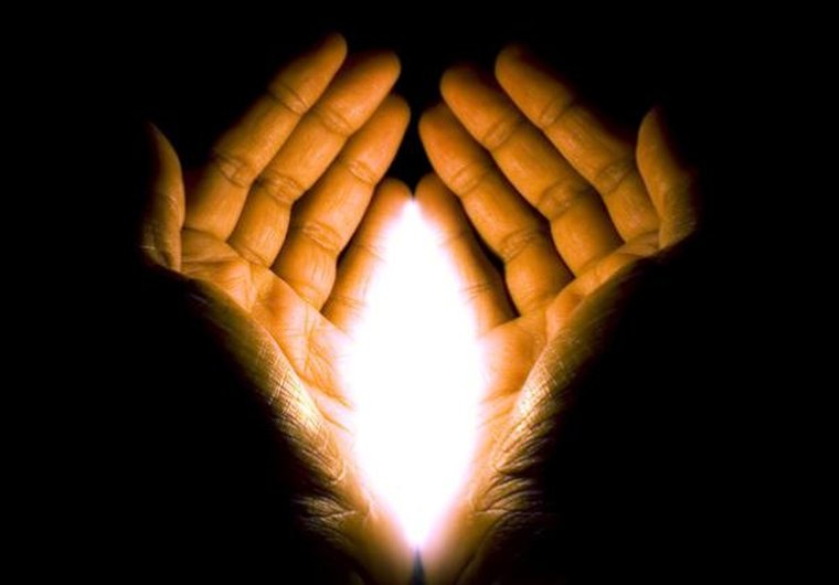 Palma domnului învățător Bălțatu  145768