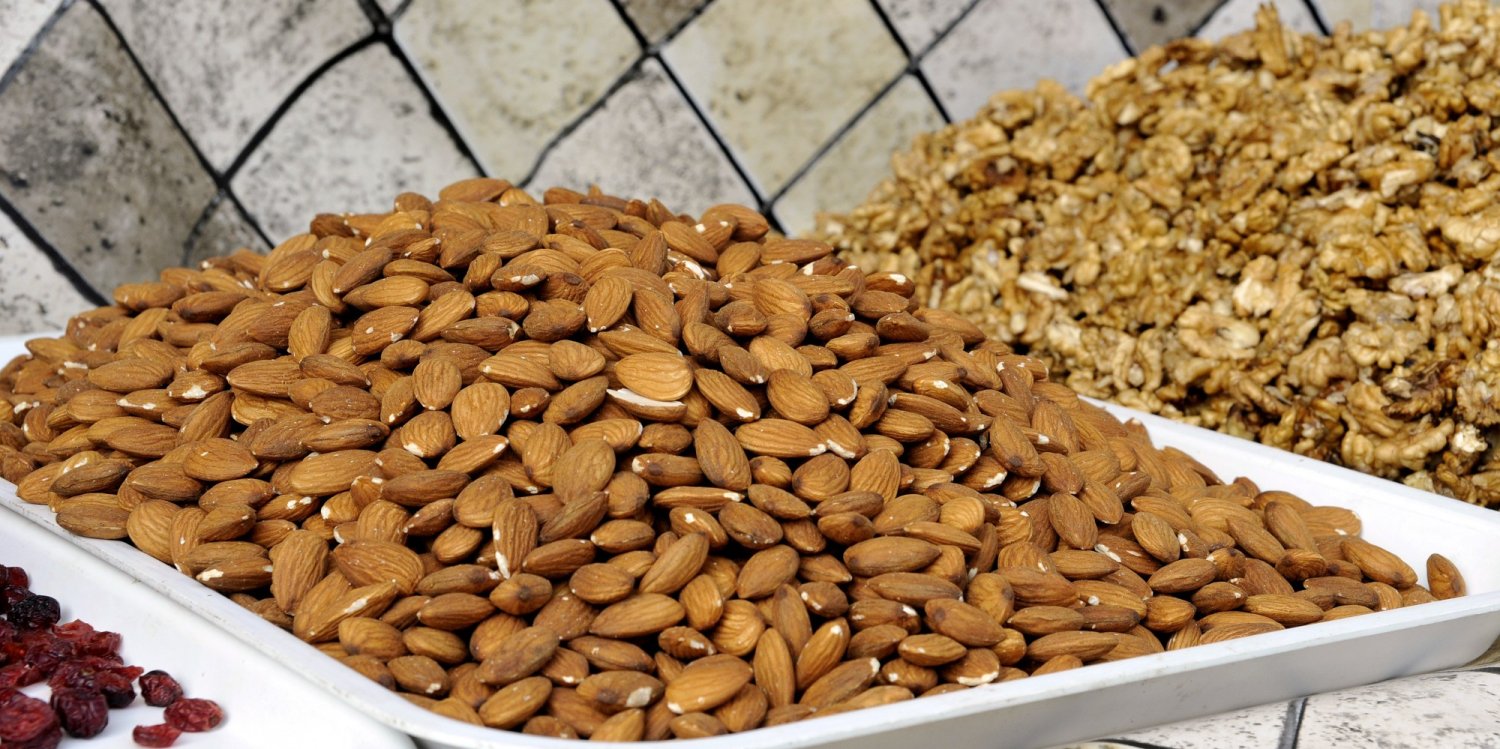 Plantaţie ecologică de migdal în Dobrogea 145779