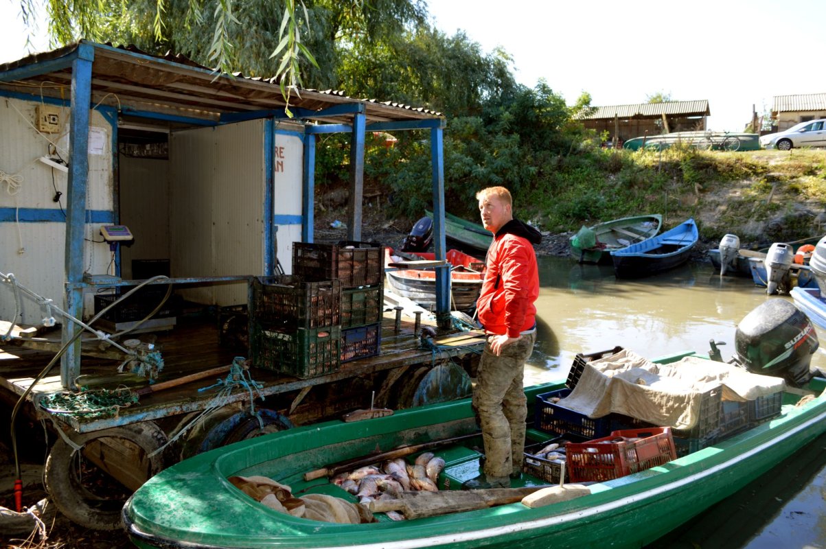 Se reia pescuitul 146066