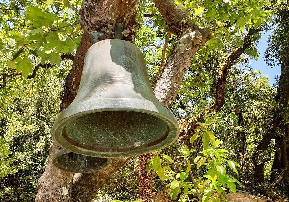 A doua naștere a tatei 146191