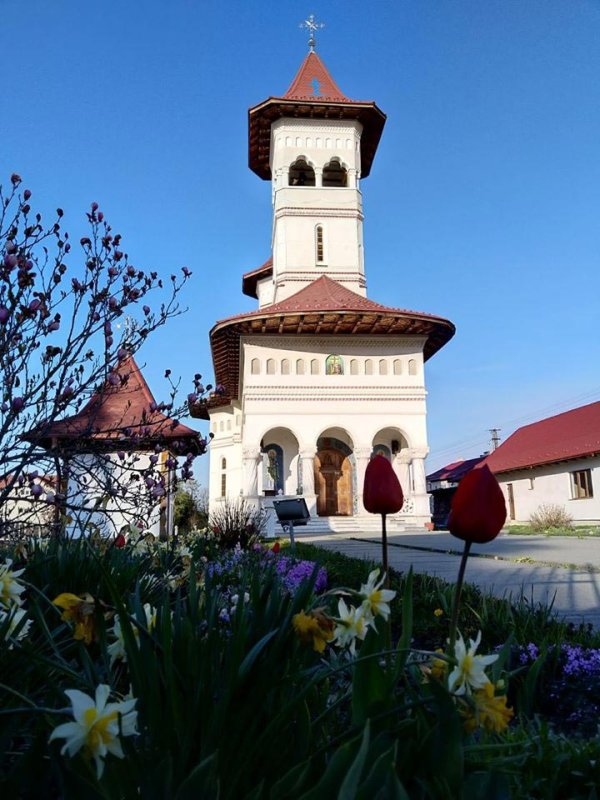 Ajutoare pentru persoanele vulnerabile social din oraşul Victoria, judeţul Braşov 146173