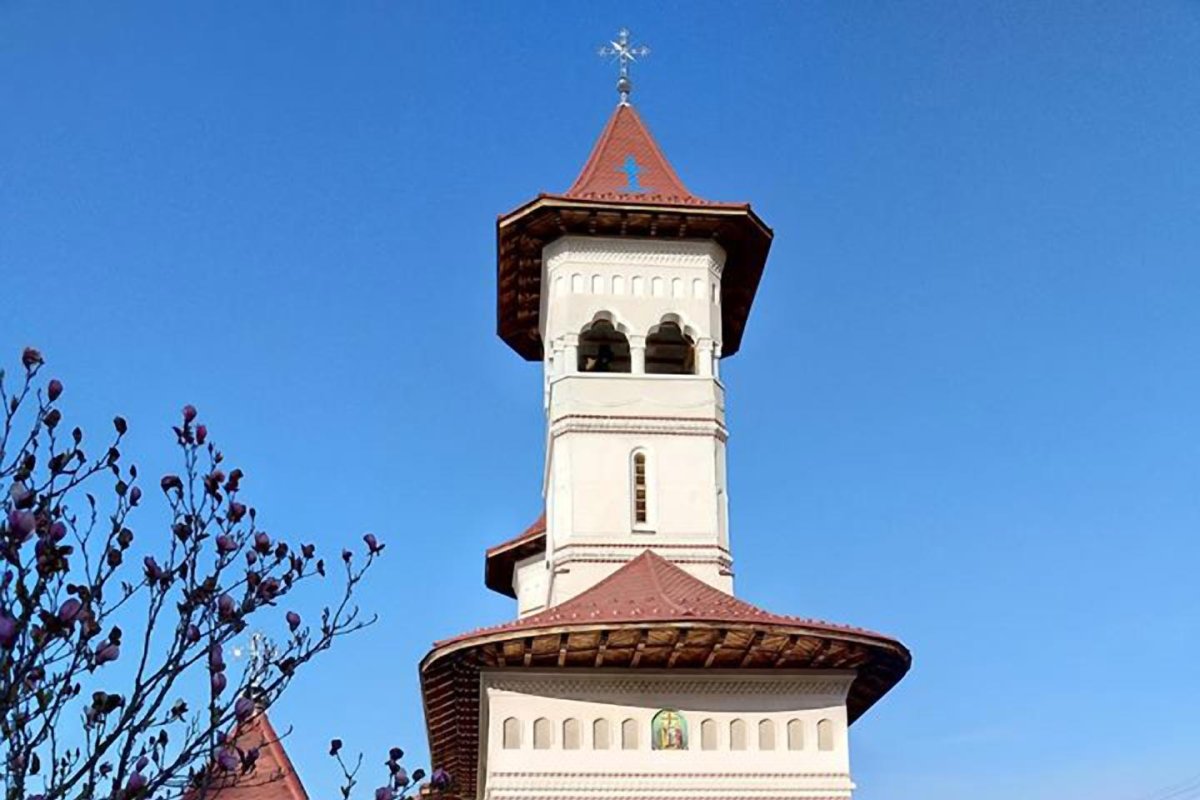 Ajutoare pentru persoanele vulnerabile social din oraşul Victoria, judeţul Braşov 146174