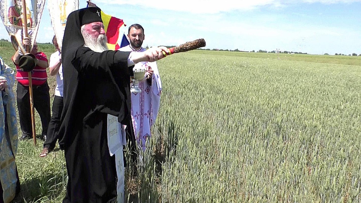 Praznicul Cincizecimii în Arhiepiscopia Timișoarei 146433