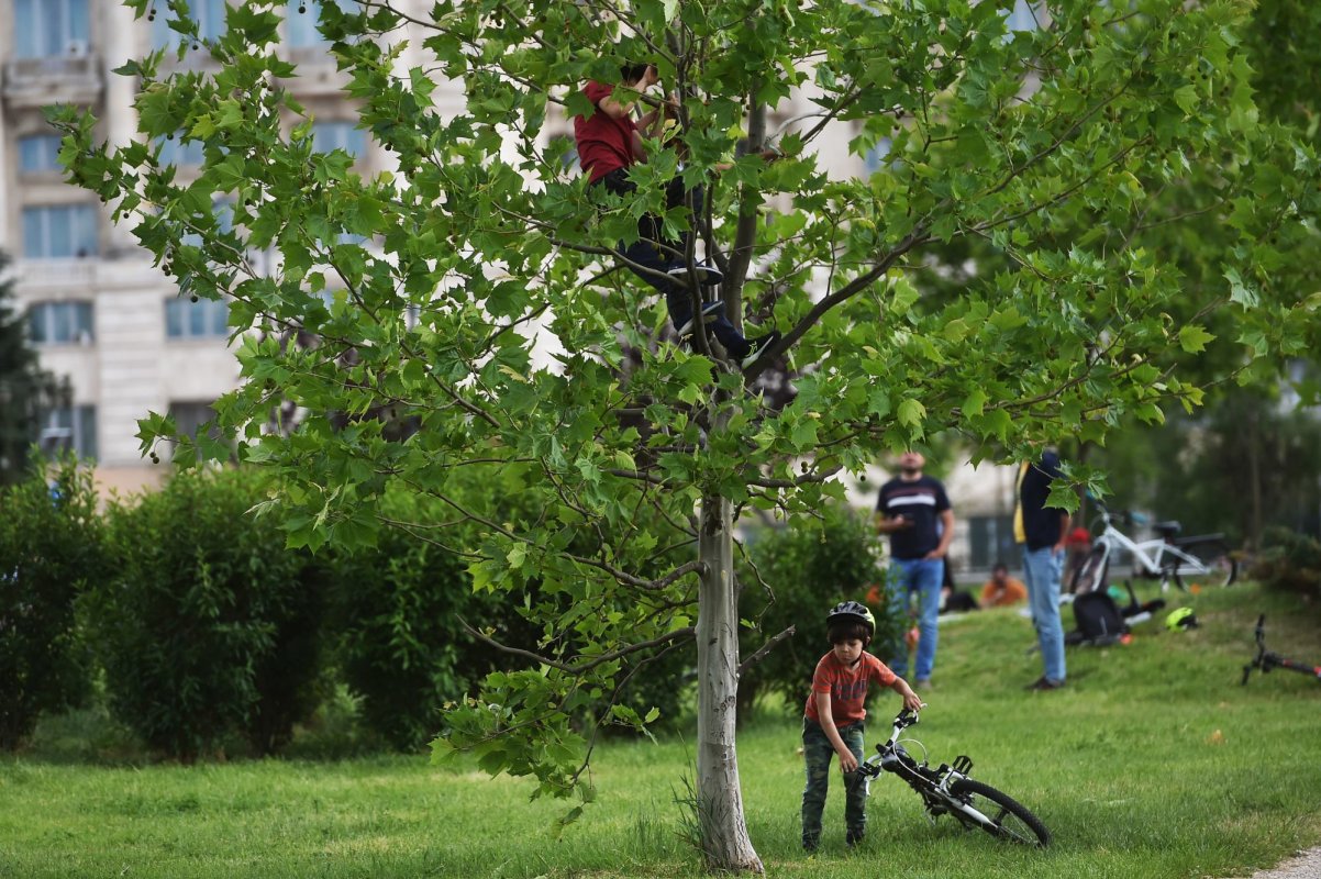 Românii vor ieși mai mult în parcuri decât în mall-uri 146729