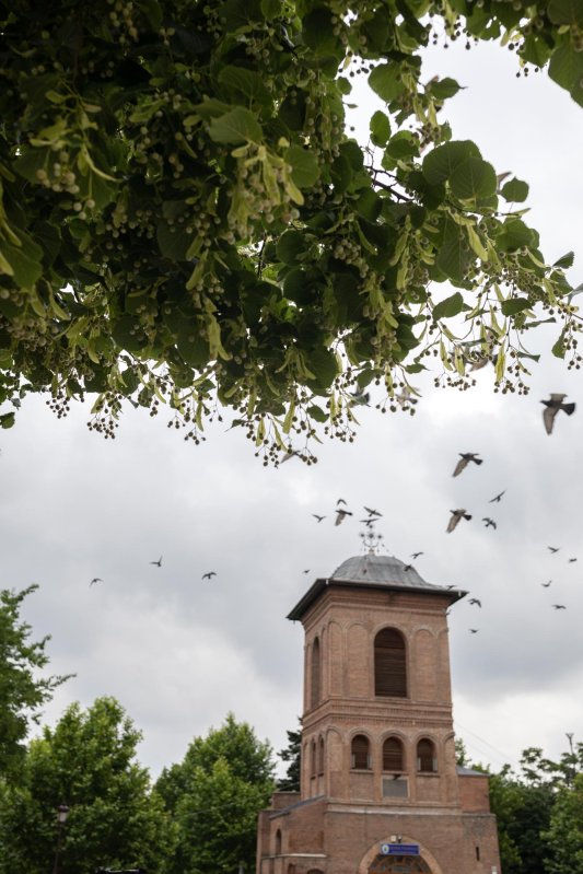 Slujbe de pomenire pentru poetul național Mihai Eminescu 146781