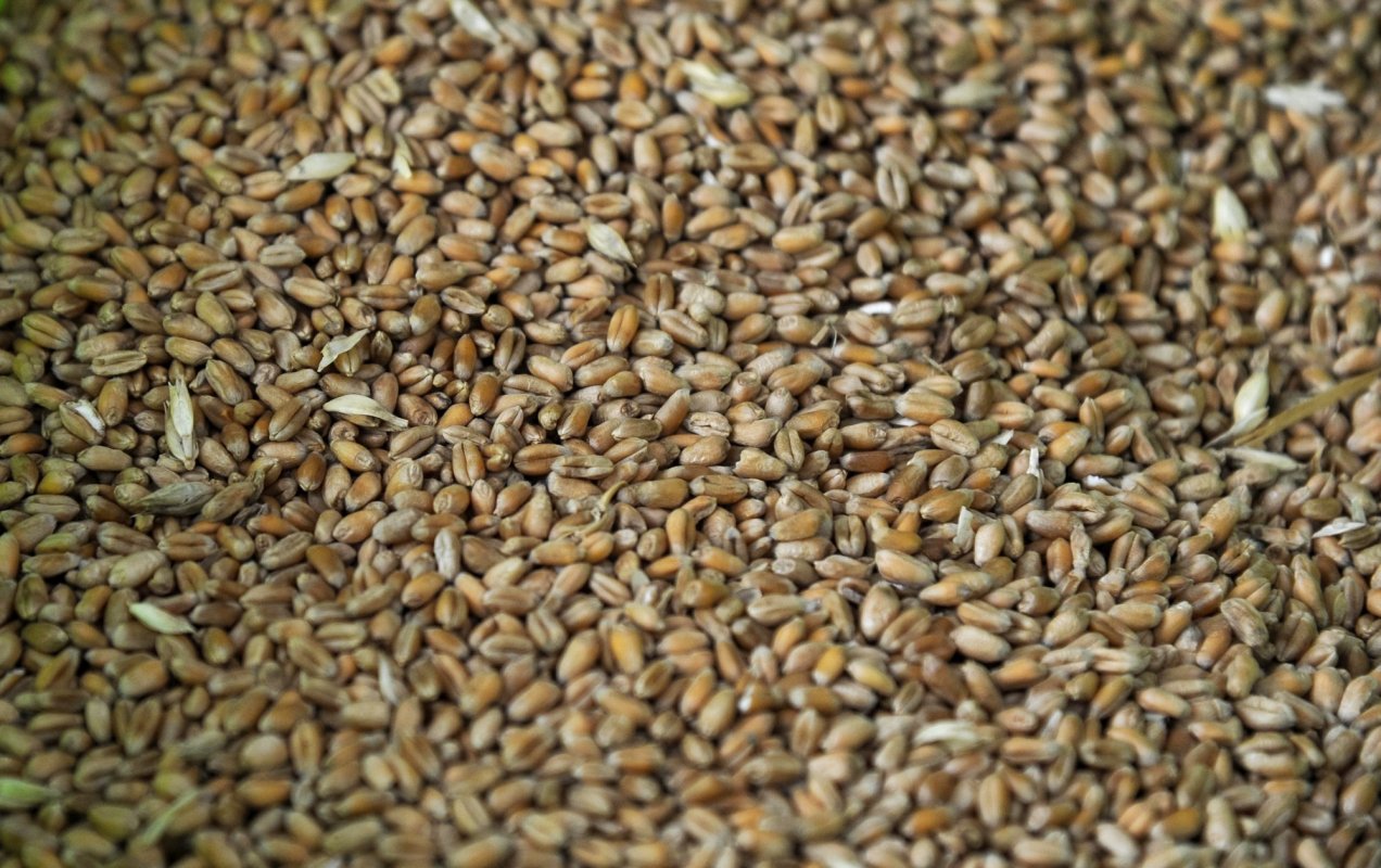 Deficitul la produse agroalimentare, în scădere 147759