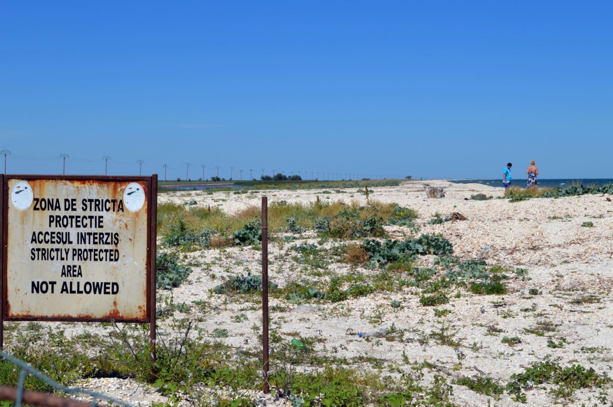 Apel la protejarea plajelor sălbatice din Deltă 147886