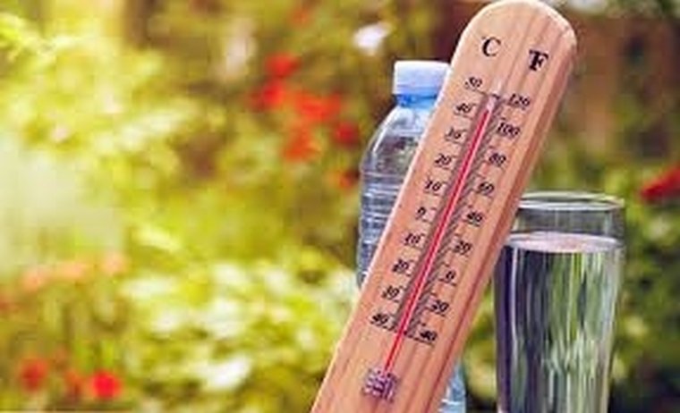 Canicula ne poate afecta sănătatea 148432