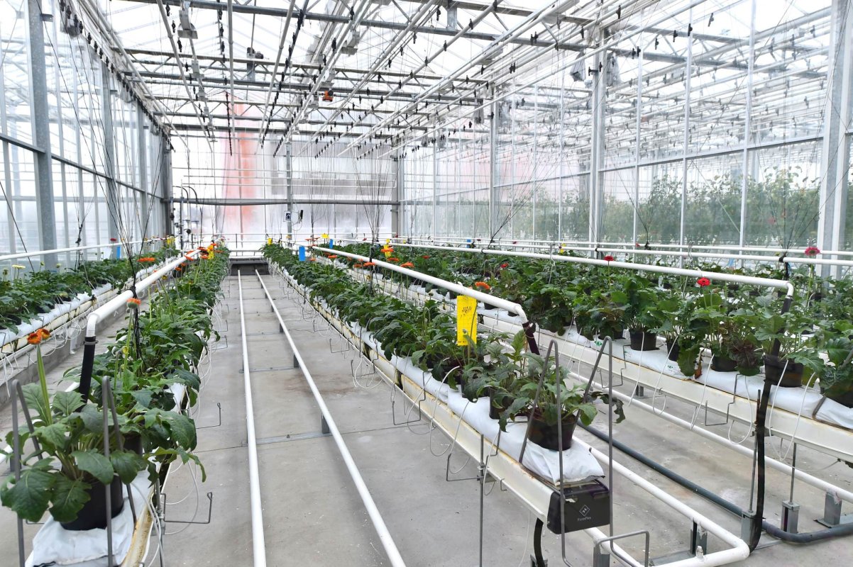 Ministerul Agriculturii va finanța liceele de profil 148634