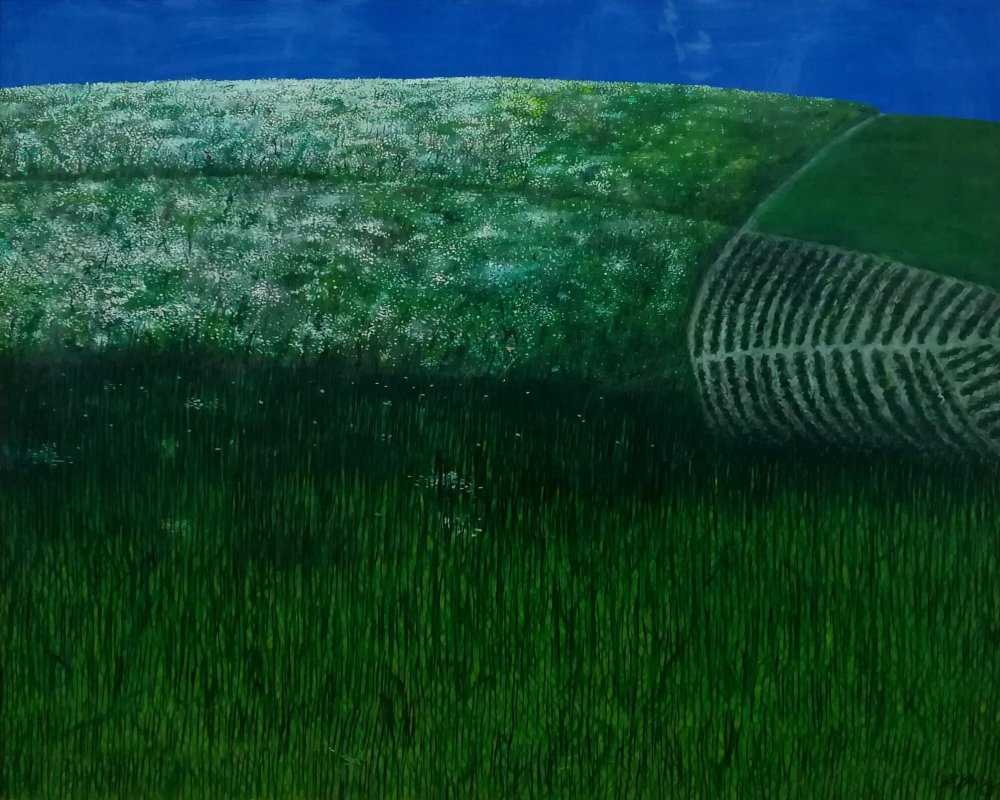 La Braşov, prin aerul rarefiat al artei 149430