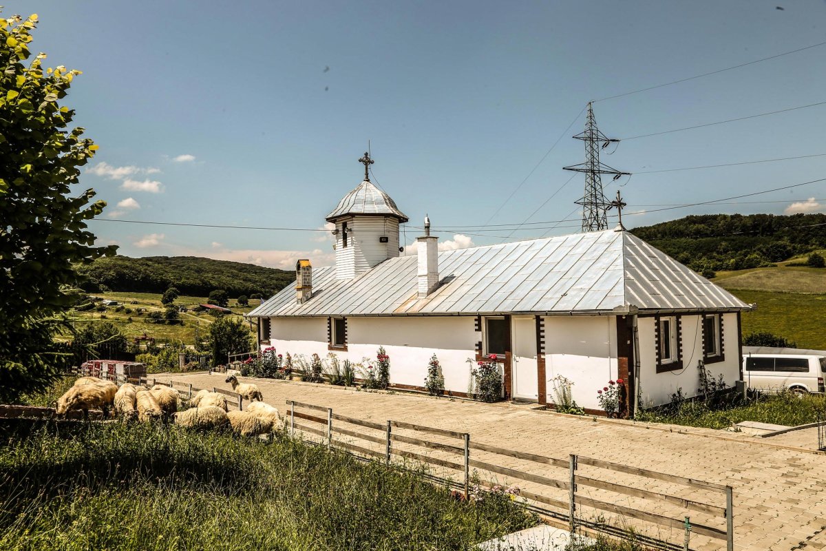 Mănăstirea Pelișor, izvor de binecuvântare din Podișul Târnavelor 148910