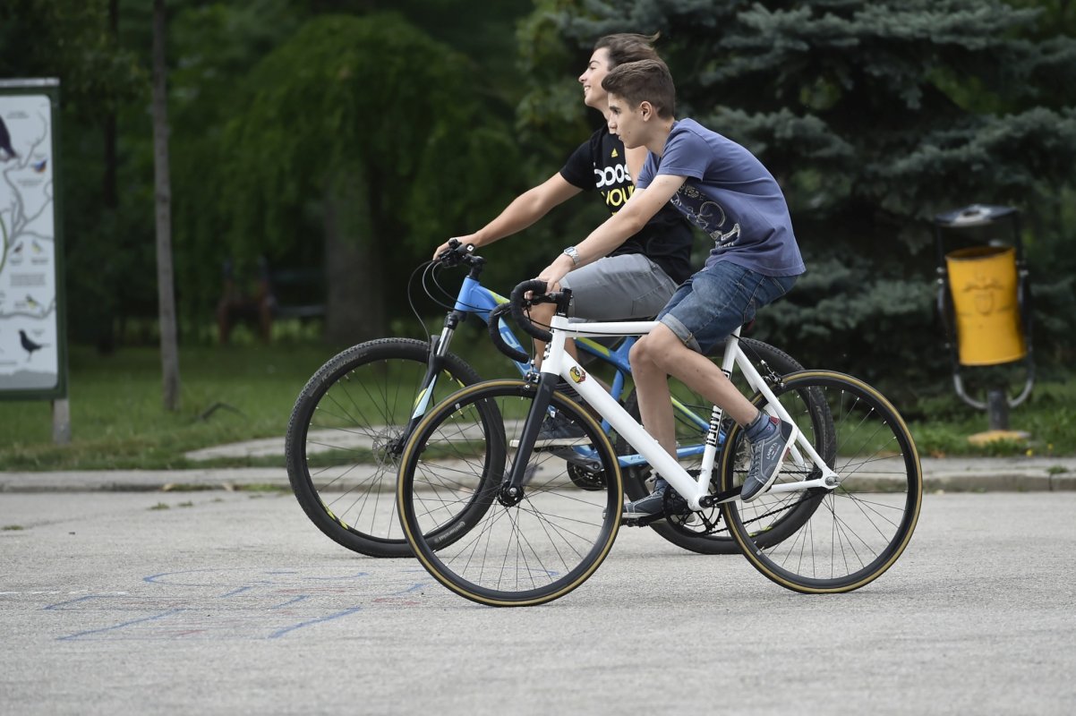 Propunere privind alocațiile 149355