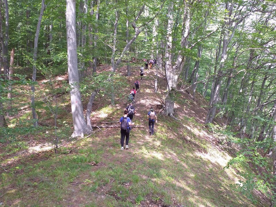 Tineri pelerini pe drumul mănăstirilor vâlcene 149383