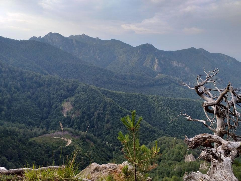 Tineri pelerini pe drumul mănăstirilor vâlcene 149390