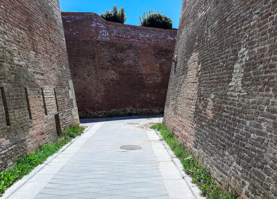 Alba Carolina, o stea strălucitoare pe firmamentul istoriei 149735