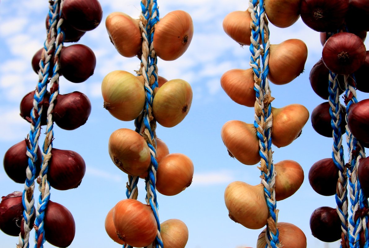 Producție de legume mai bună decât anii trecuți în Maramureș 149841