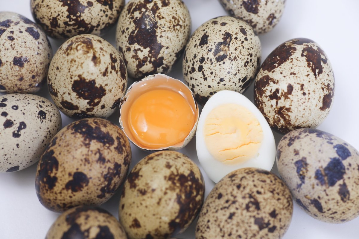 Piață pentru agricultura ecologică 150140