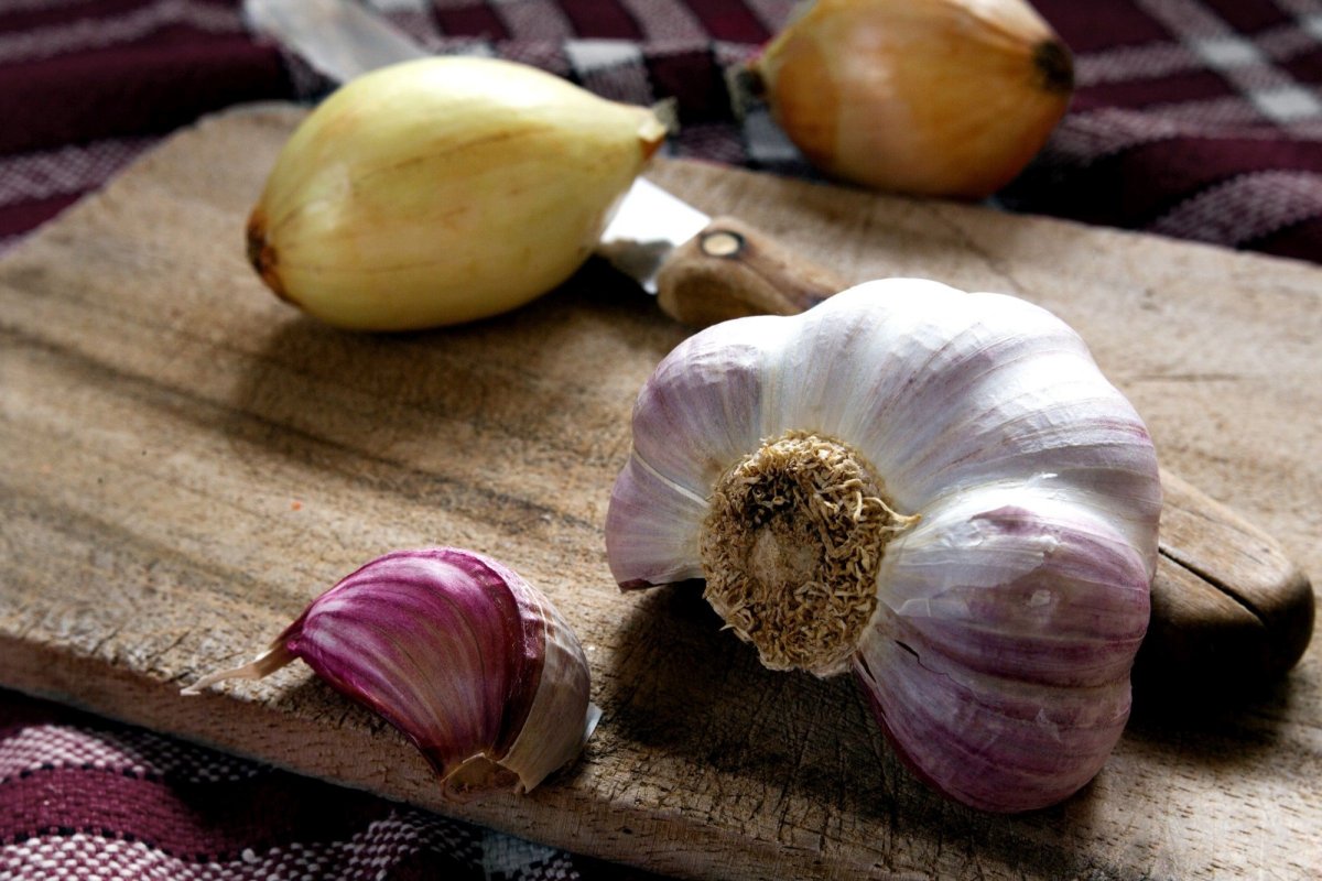 Un remediu antic, eficient împotriva bacteriilor rezistente la antibiotic 150437