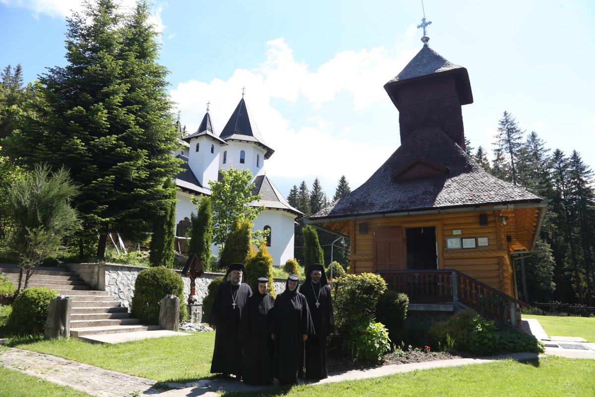 Schitul Păltiniș: lumina credinței și a cunoașterii 150055