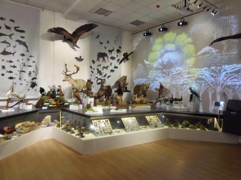 Muzeul în care trecutul se întâlnește cu viitorul 150569