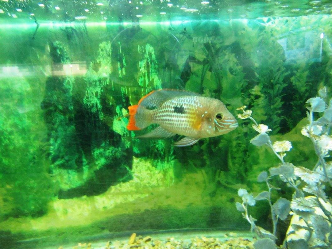 Muzeul în care trecutul se întâlnește cu viitorul 150570