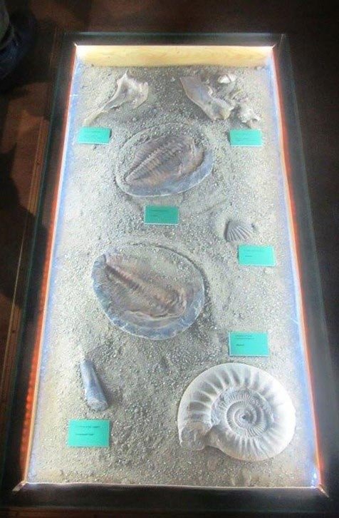 Muzeul în care trecutul se întâlnește cu viitorul 150572