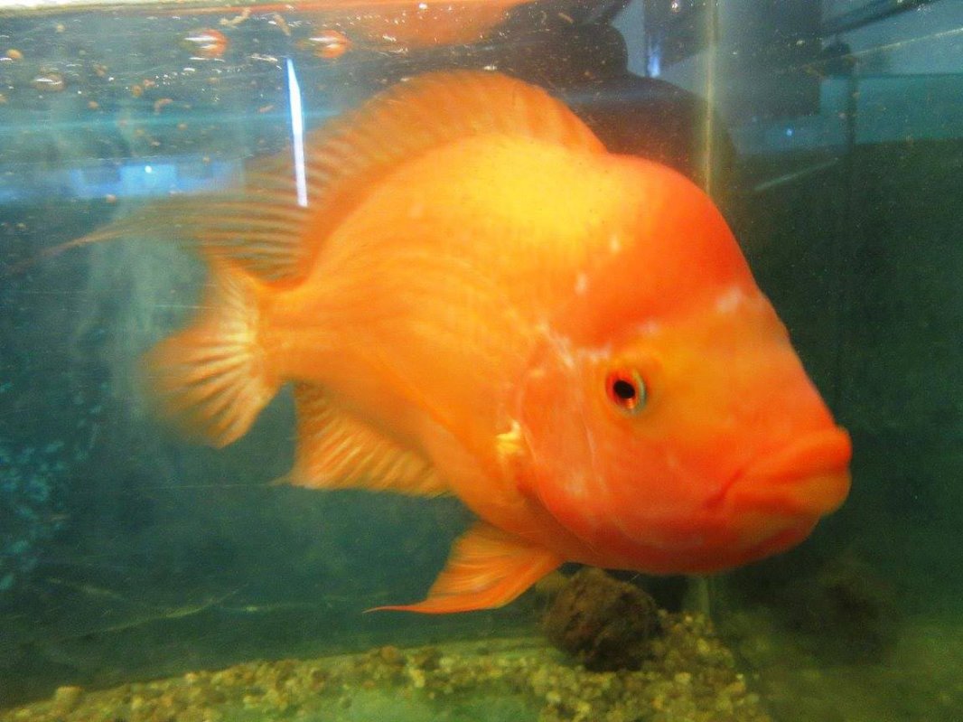 Muzeul în care trecutul se întâlnește cu viitorul 150573