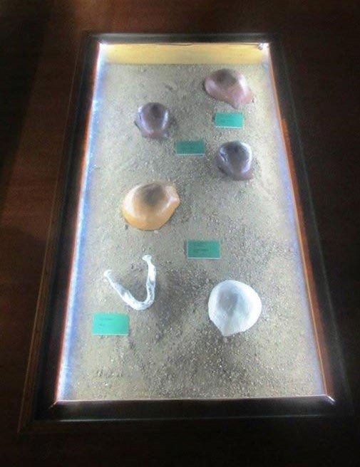 Muzeul în care trecutul se întâlnește cu viitorul 150574