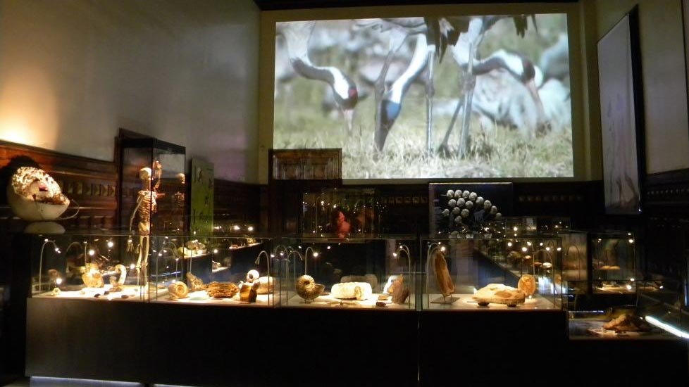 Muzeul în care trecutul se întâlnește cu viitorul 150575