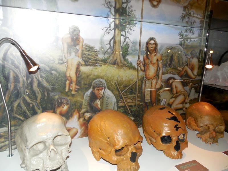 Muzeul în care trecutul se întâlnește cu viitorul 150581