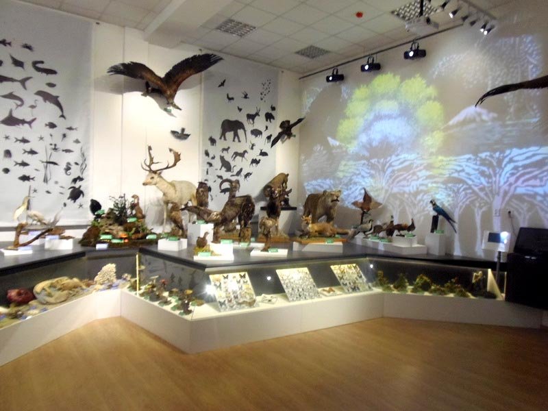 Muzeul în care trecutul se întâlnește cu viitorul 150582