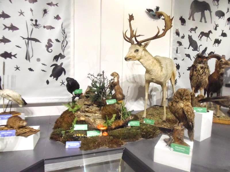 Muzeul în care trecutul se întâlnește cu viitorul 150584