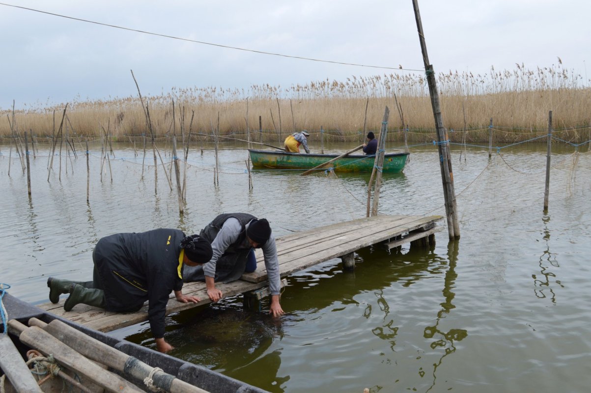 Pescarii şi investitorii solicită o legislaţie specifică Deltei  150736