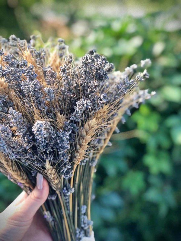 „Buticul cu lavandă”, în sprijinul micuței Elisabeta 150784