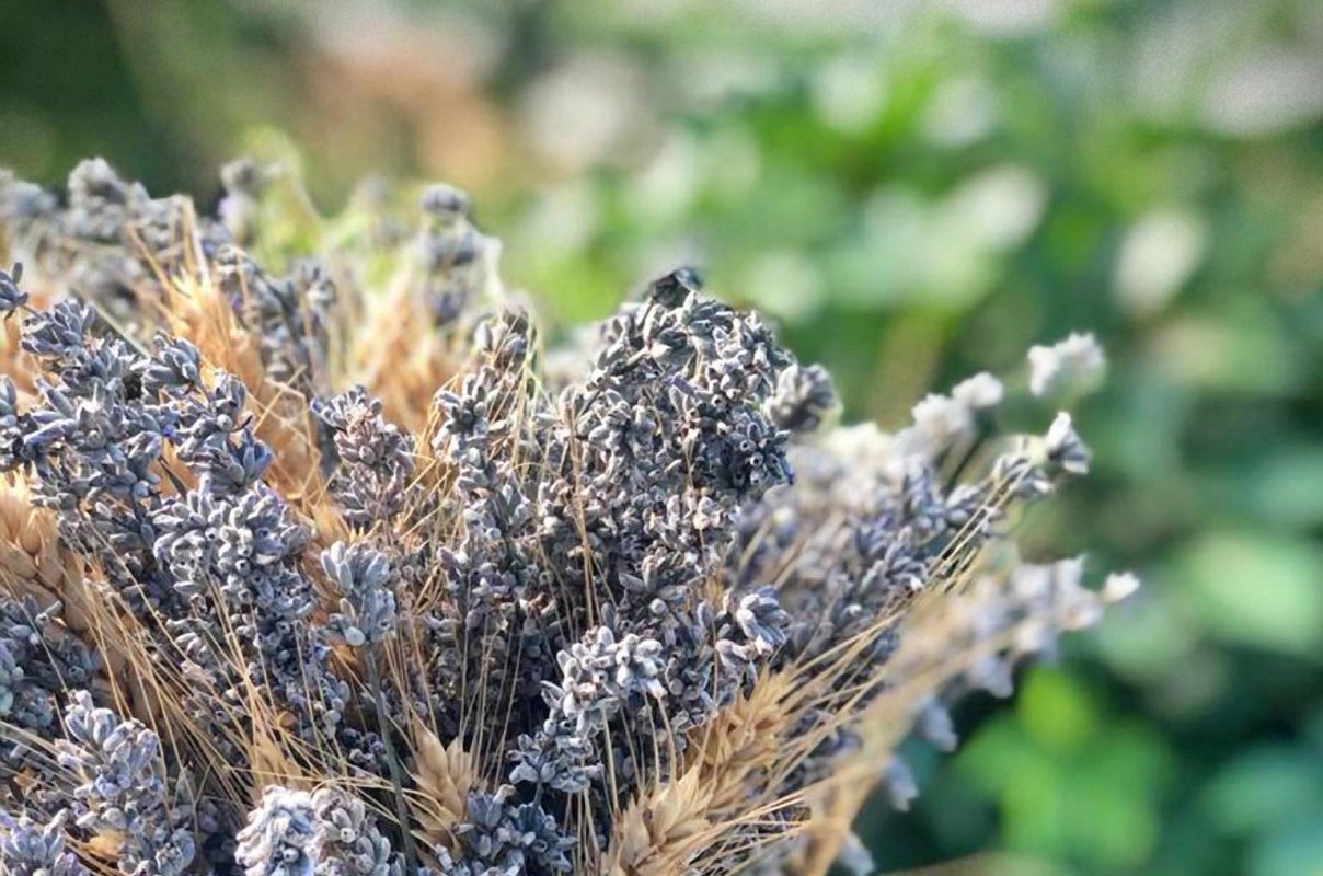 „Buticul cu lavandă”, în sprijinul micuței Elisabeta 150786