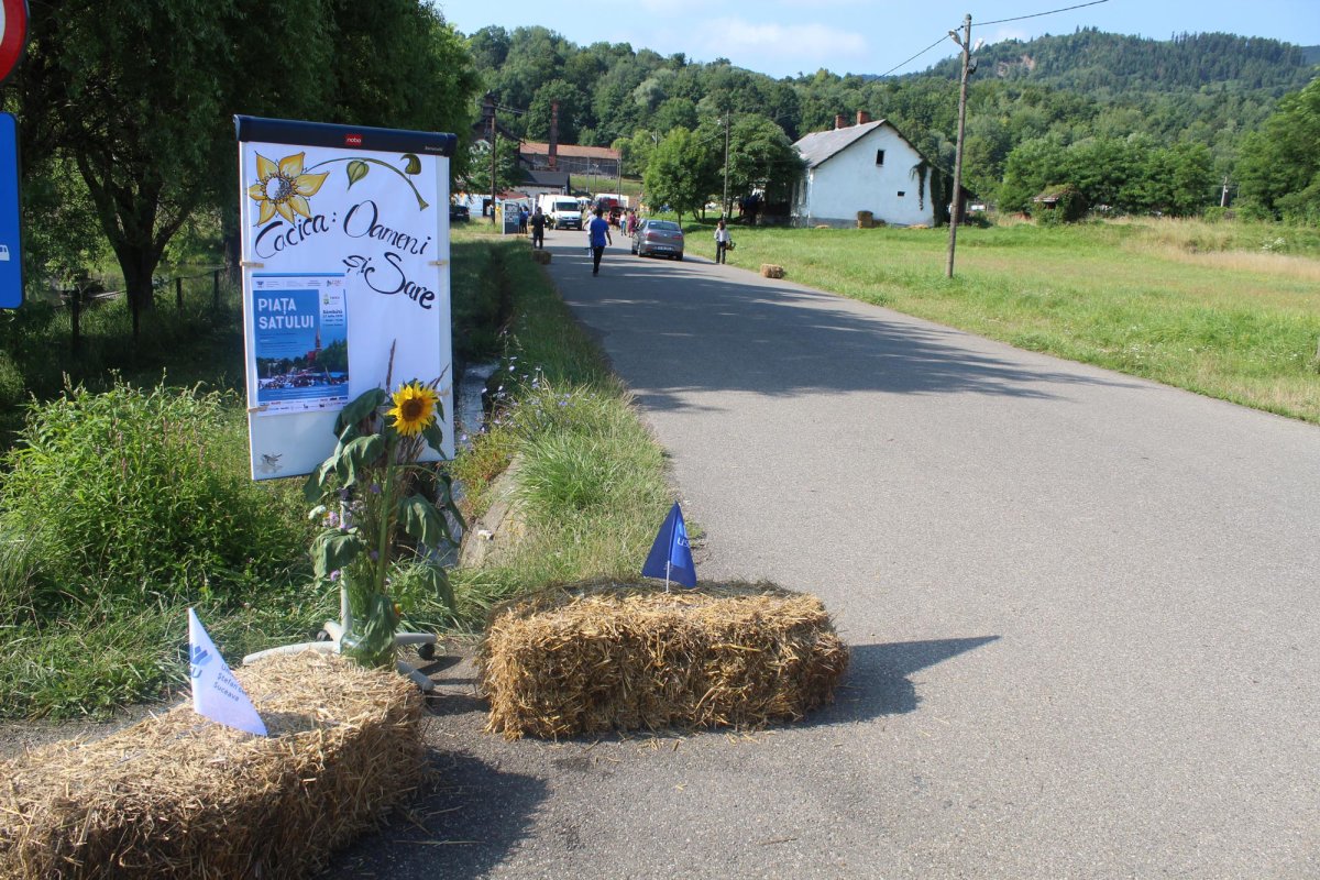 „Casele vechi fac parte din vraja Bucovinei” 151103