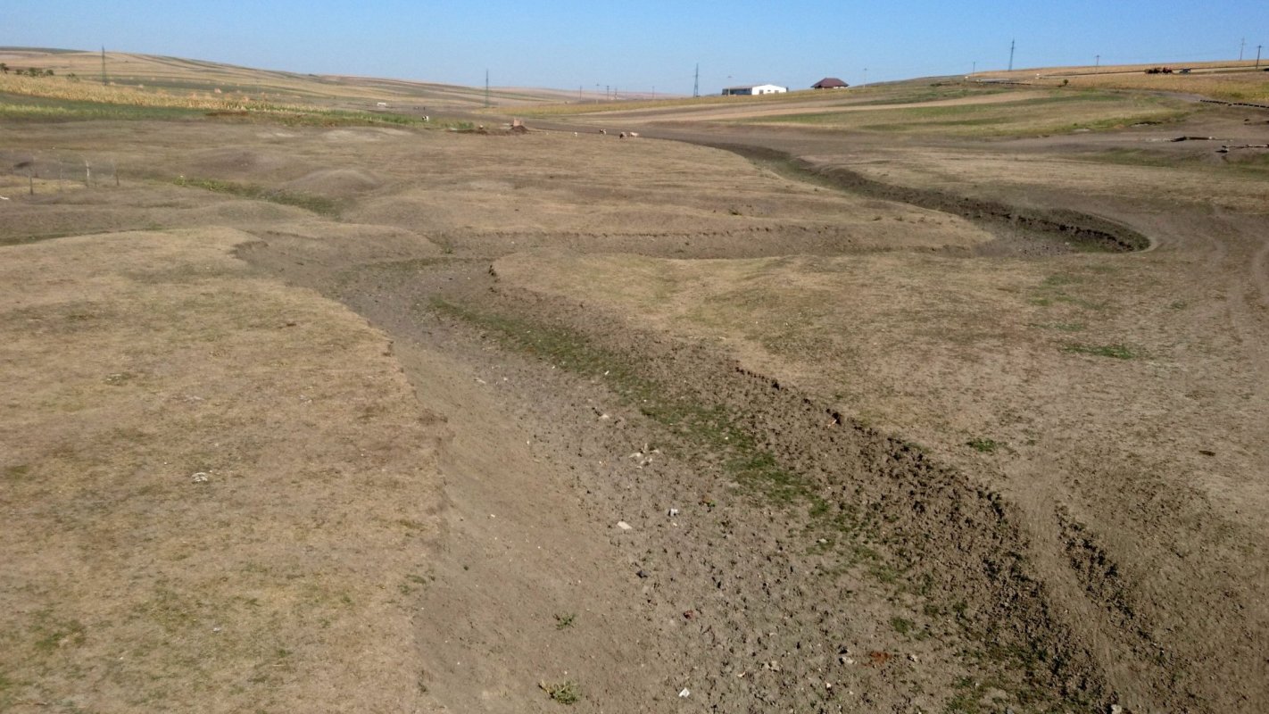 Câţi bani vor primi fermierii afectaţi de secetă 151216