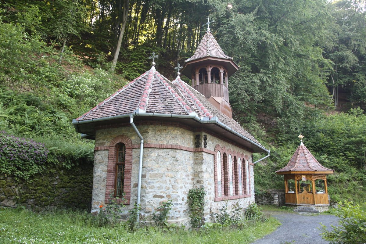 Schitul Foltea, locul de isihie al mărturisitorilor ardeleni 151229