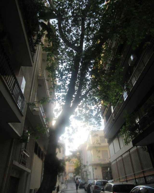 Et in Atena ego 151081