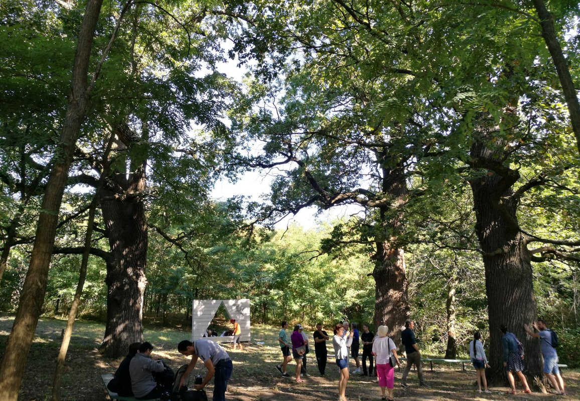 „Nordului Moldovei îi lipsește exercițiul lucrului împreună“ 151548