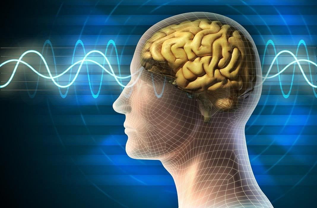 A fost decodat mecanismul prin care creierul evaluează riscurile 151975