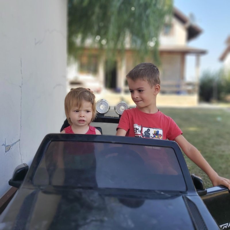 Portretul unei mame fericite 151989