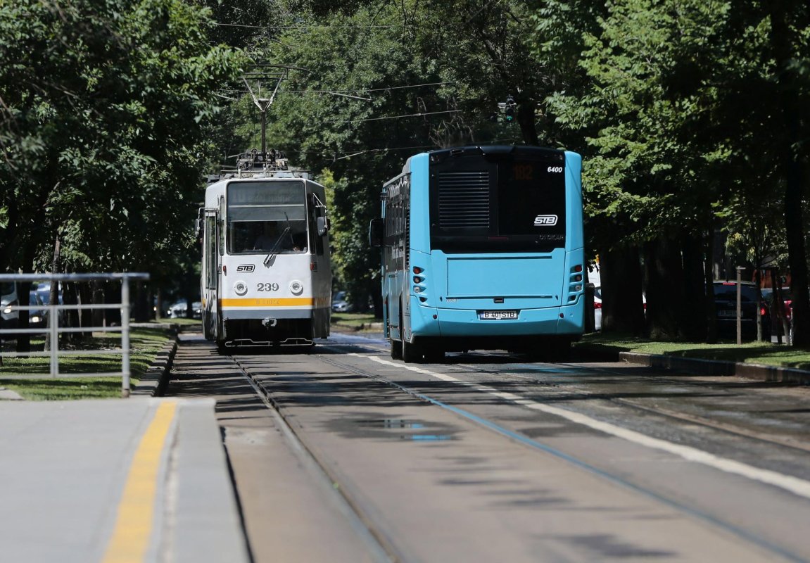 Tramvaie şi troleibuze în oraşele poluate 152295