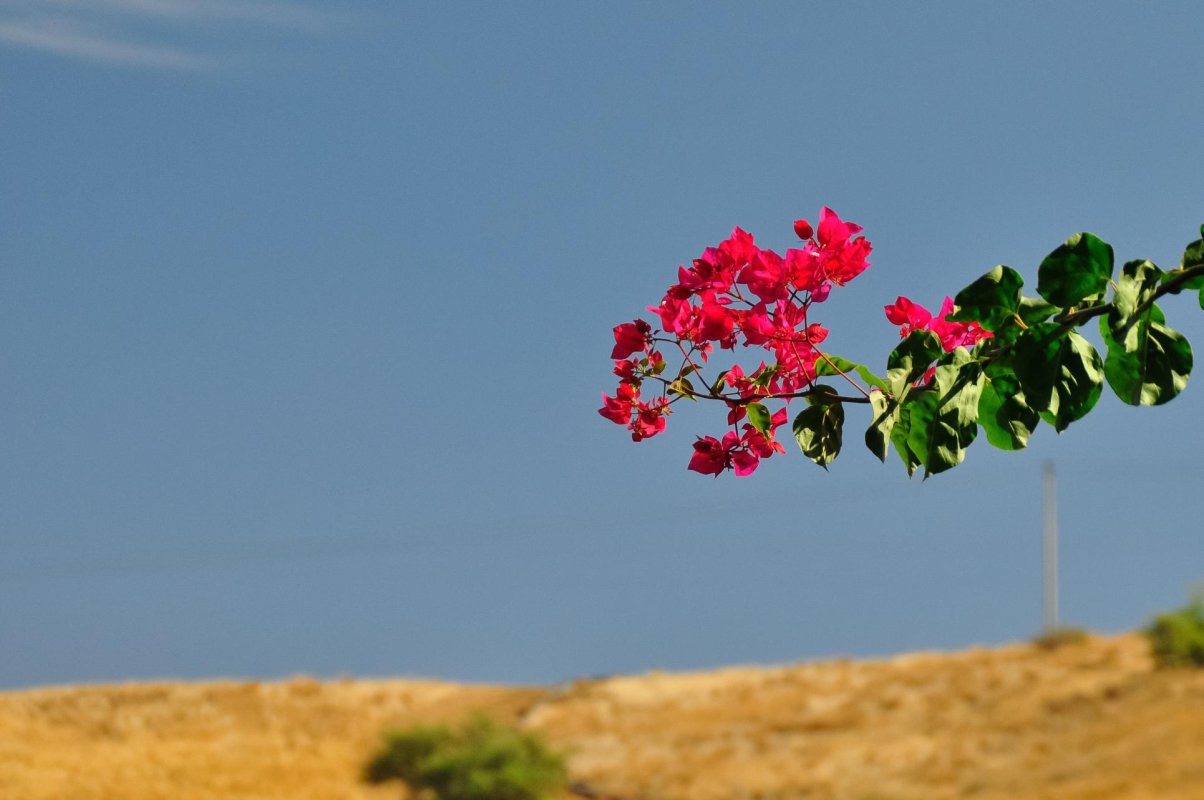 Perfecțiunea inaccesibilă 152707