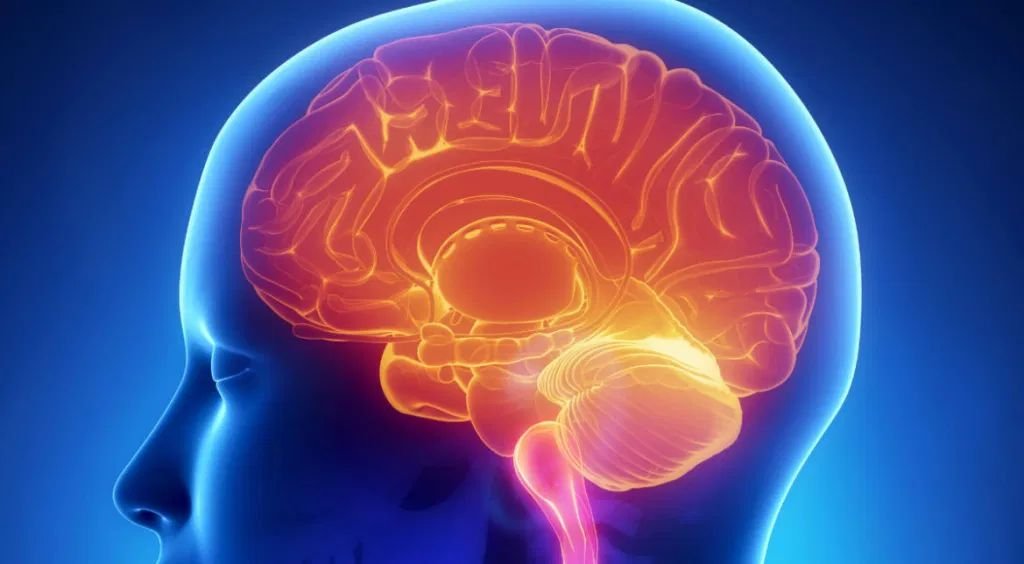 Coronavirusul, capabil să invadeze creierul 152850