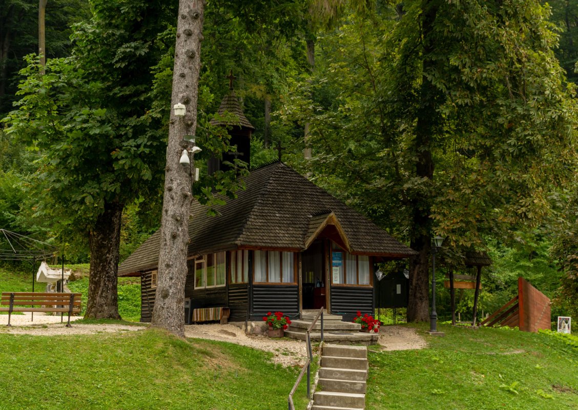 Un castel pentru arborele genealogic al Cantacuzinilor 153063